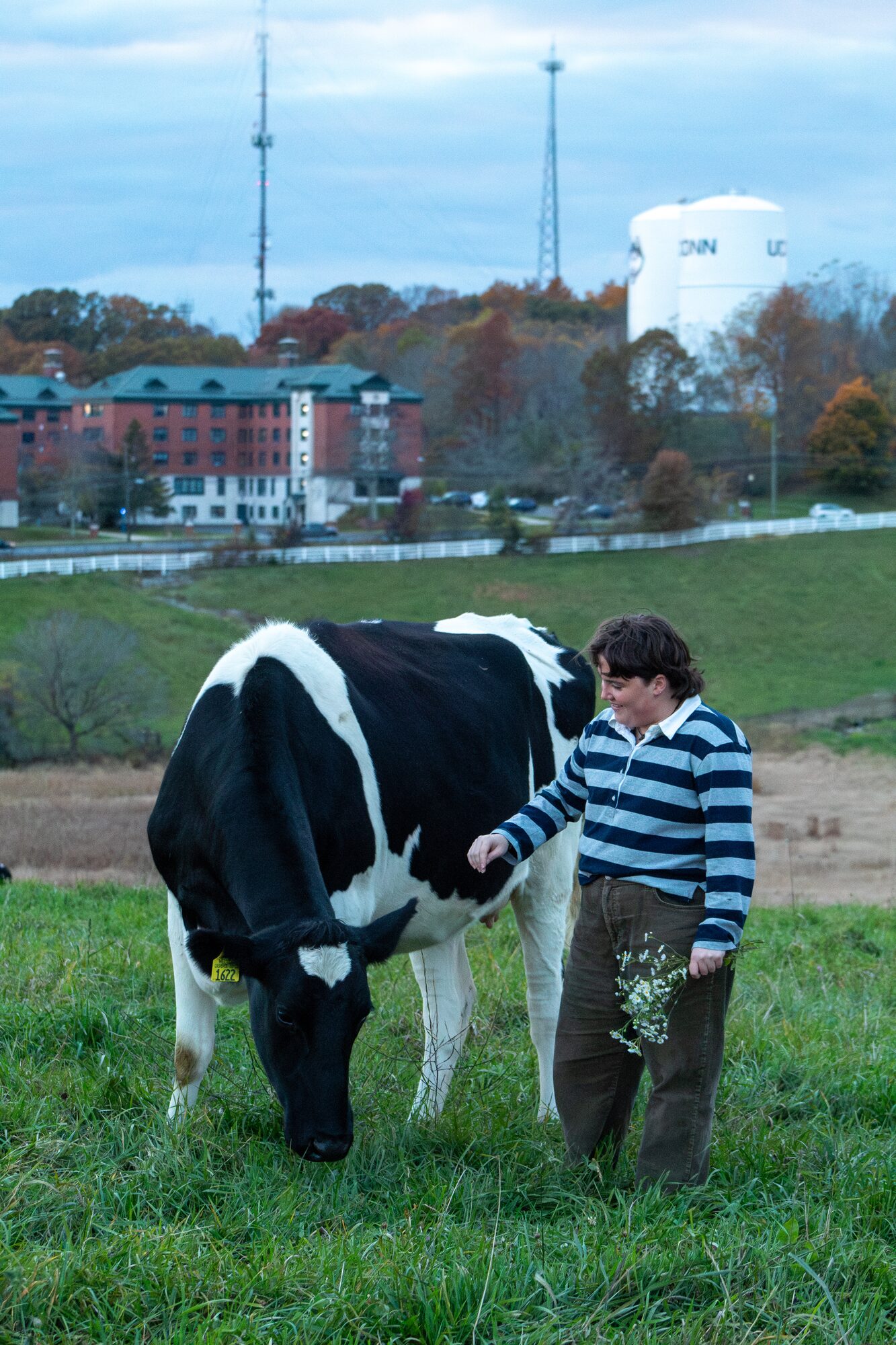 Molly senior portrait, with a cow and the UConn water tower in the background